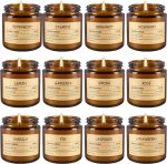 Scented Candle Set (Pack of 12) — Aromatherapy Candle Gift Box | Long-Lasting Scents in Glass Jars | Suitable for Men as Well | Exclusive Gifts for Her — The Perfect Choice for Birthdays, Mother's Day, and Thanksgiving